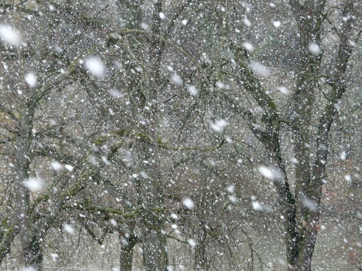 На Татарстан обрушатся сильный снег и метели