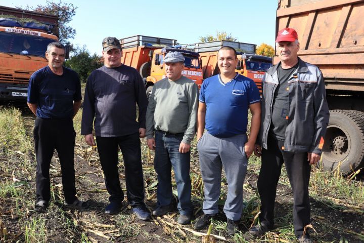 «Хузангай»да көн саен 3 мең тонна силос салалар