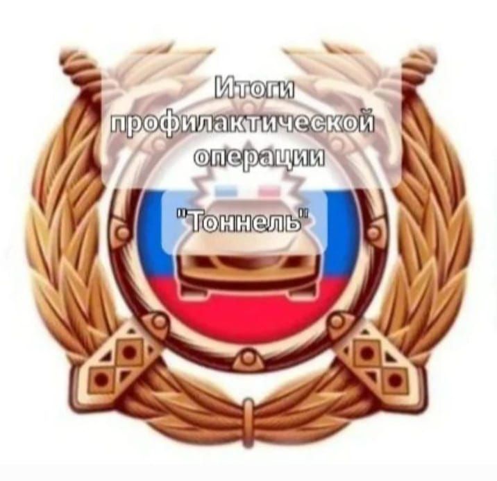 За время мероприятия «Тоннель» проверено 70 автомашин
