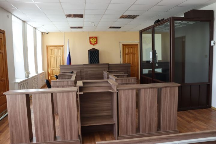 Прокуратура Алькеевского района поддержала государственное обвинение по уголовному делу в отношении ранее судимого местного жителя