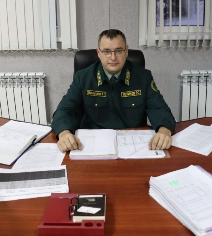 Әлки урманчылыгы урманчысы-җитәкчесе итеп Евгений Мулинов билгеләнде