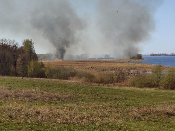Житель Алексеевского района поджёг камыш, чтобы нагреть воду для рыб
