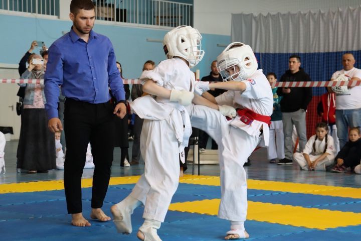 Алькеевцы стали первыми в республиканских соревнованиях по киокусинкай каратэ