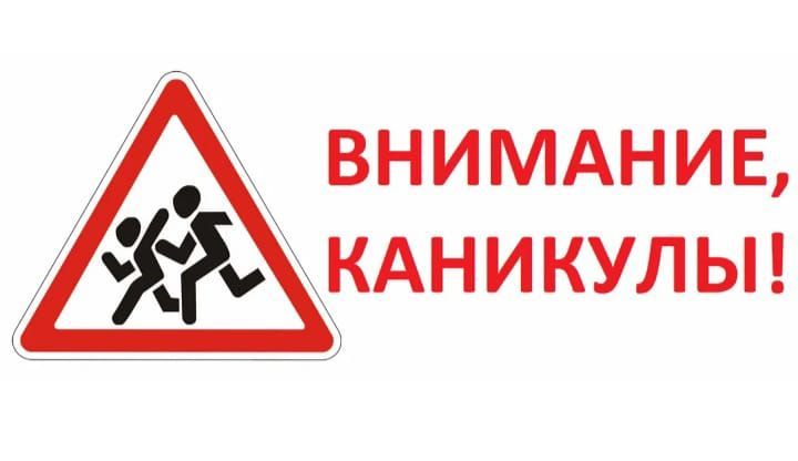 Госавтоинспекция по Алькеевскому району напоминает об основных требованиях безопасного поведения на дорогах