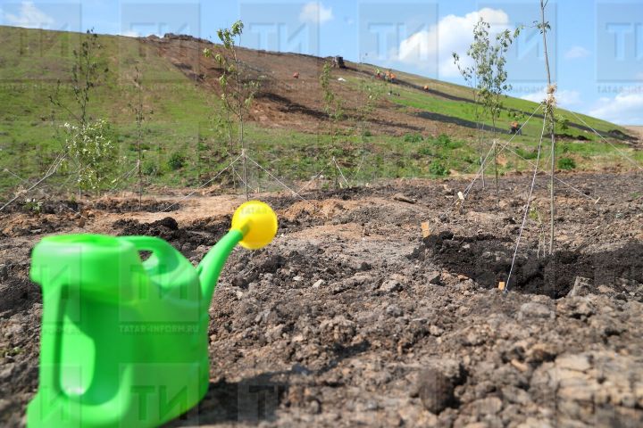 В Алькеевском районе организуют комиссию для выявления фактов нецеленаправленного использования питьевой воды