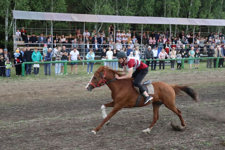 Ат чабышы бәйрәмгә көч-дәрт бирә