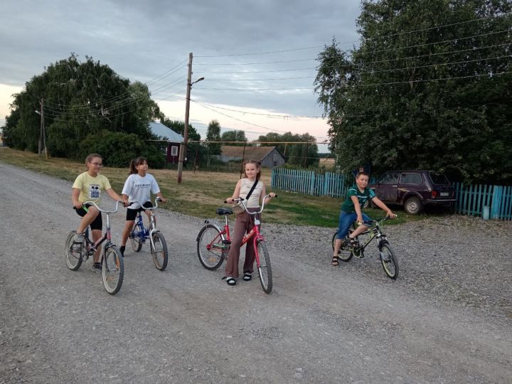 В Алькеевском районе дети проводят каникулы с пользой