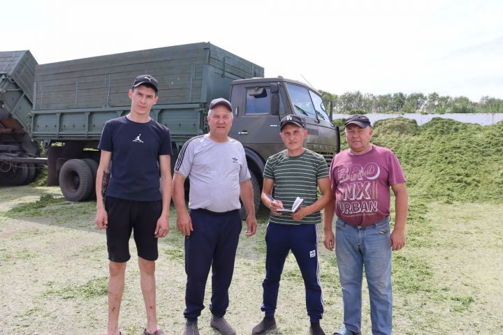 Әлки районында борчакны да сенажга салалар