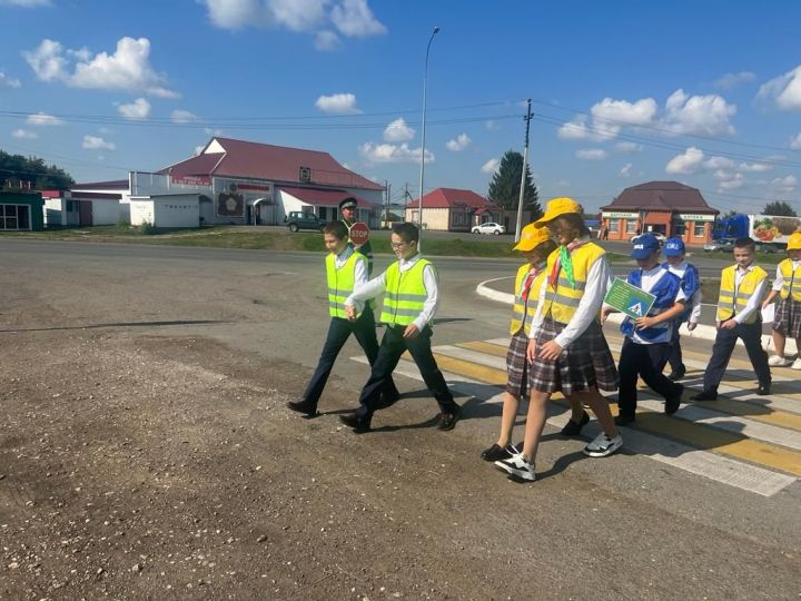 В образовательных организациях района проведена акция «Безопасный переход»