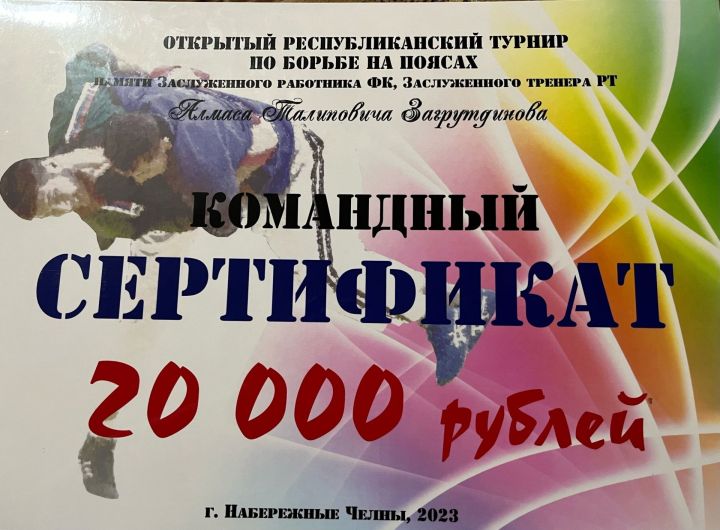 Әлки районы көрәшчеләре республика турнирында катнаштылар
