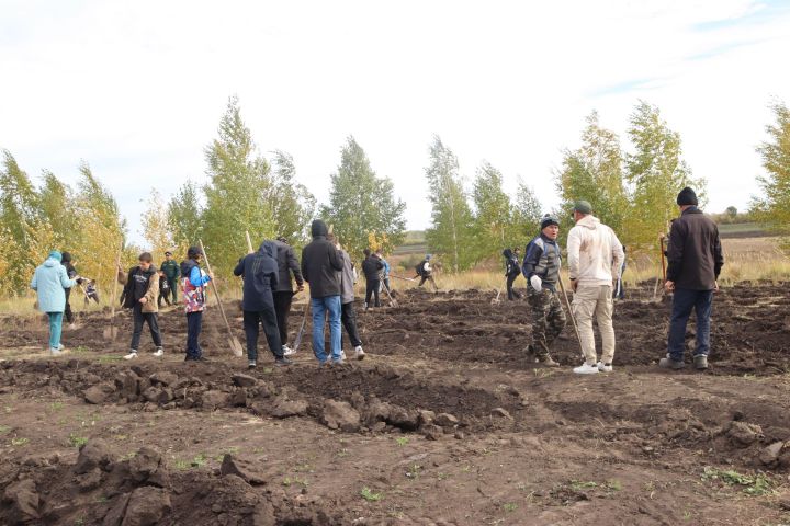 Әлки районында агачлар утыртылды