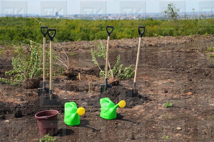 Әлки  районында урман утырту көннәре үтәчәк