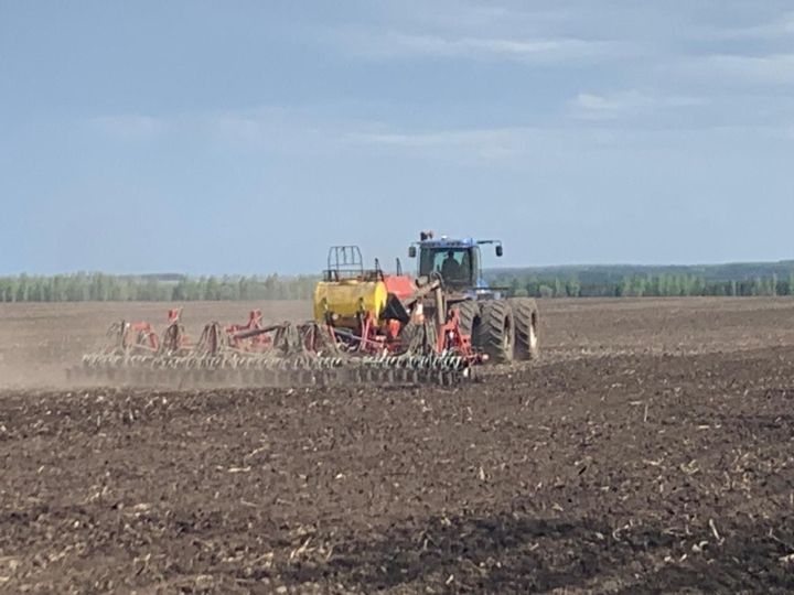 Әлки районда сабан культуралары чәчү төгәлләнеп килә