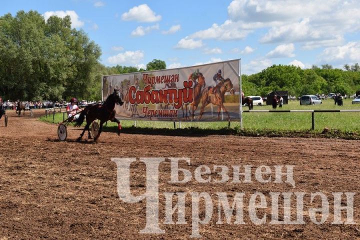 Безнең атлары Чирмешән Сабантуенда беренче урынны яулаганнар