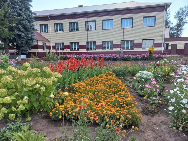 Әлки районы мктәпләре балаларны нинди үзгәрешләр белән каршы ала