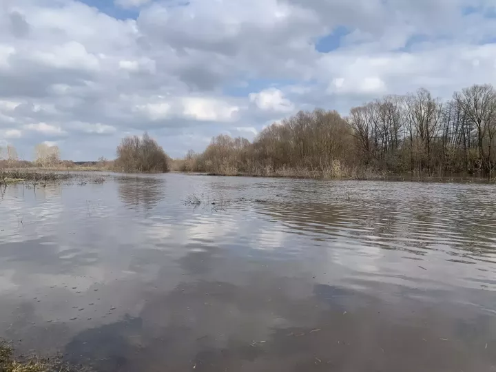 В реках Алькеевском района снизился уровень воды