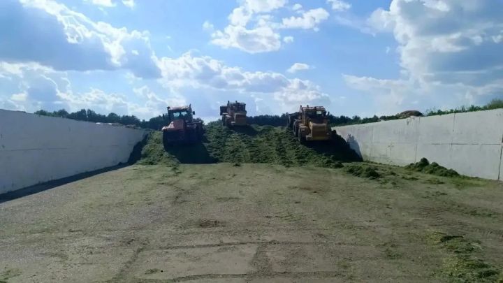 В Алькеевском районе началась заготовка сенажа