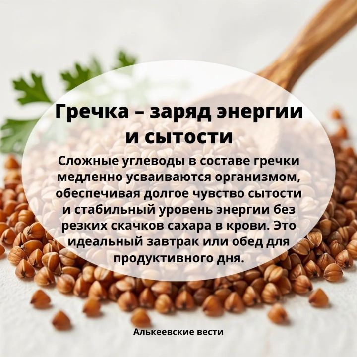 Гречка: польза для здоровья, состава и почему её стоит есть каждый день