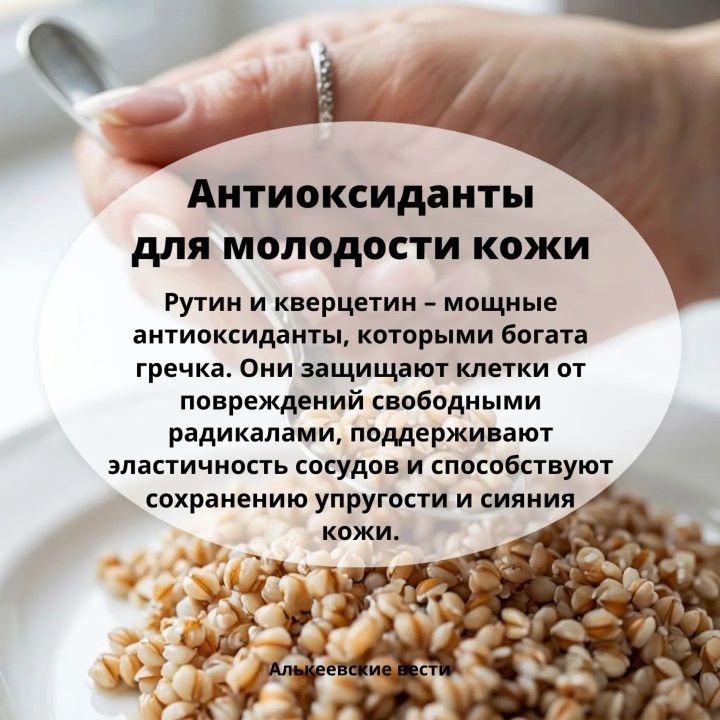 Гречка: польза для здоровья, состава и почему её стоит есть каждый день