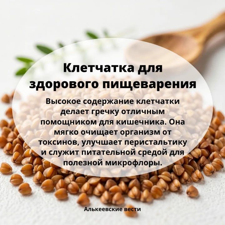 Гречка: польза для здоровья, состава и почему её стоит есть каждый день