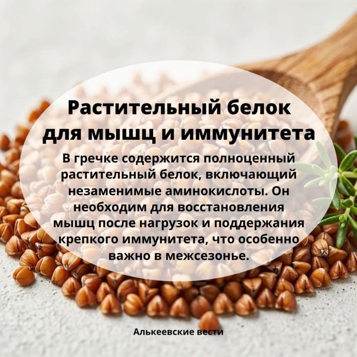 Гречка: польза для здоровья, состава и почему её стоит есть каждый день