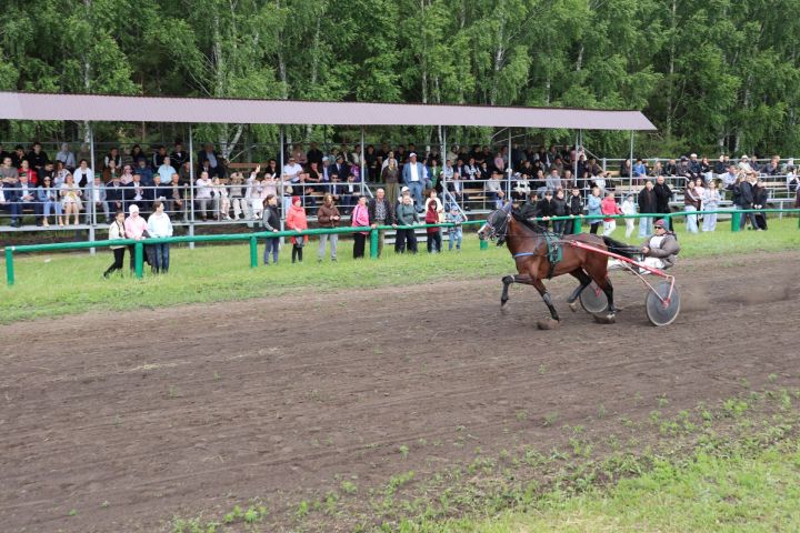 Сабантуй в Алькеевском районе прошел очень насыщенно