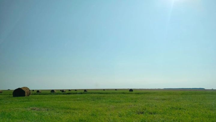 Для владельцев скота на полях Алькеевского района оставляют солому
