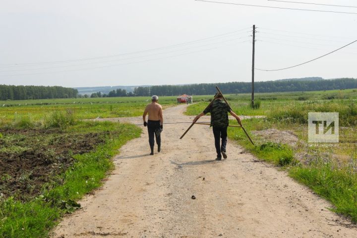 В Татарстане число предоставленных многодетным семьям земельных участков выросло на 17%